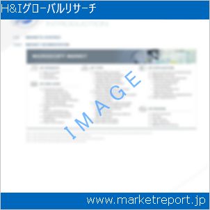 市場と産業調査レポートのイメージ